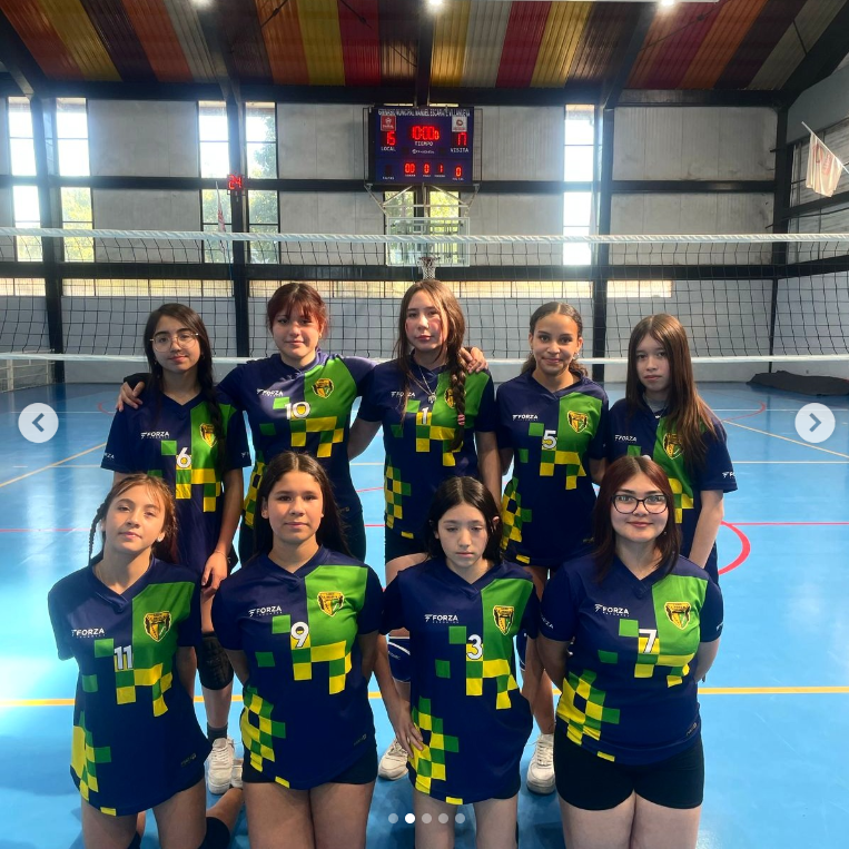Juego de voleibol