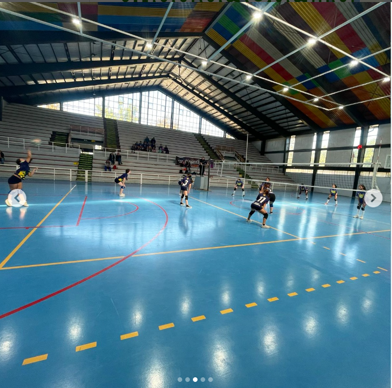 Voleibol